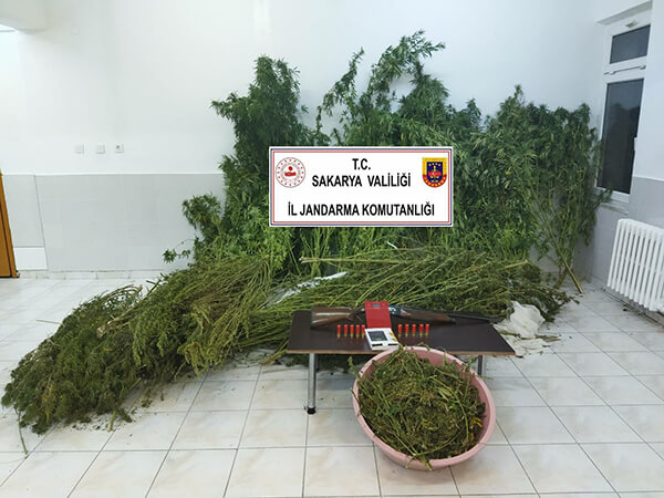 Kaynarcada Uyuşturucu Baskını!