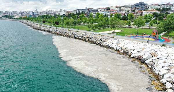 Doktor Yücel;müsilaj kalmadı ama oksijen azalıyor