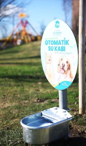 Büyükşehir can dostların hep yanında