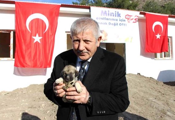 Amasya Belediyesi sokak hayvanları için otel yapıyor