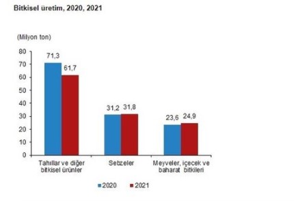 Tahıllar ve diğer bitkisel ürünler bir önceki yıla göre azaldı