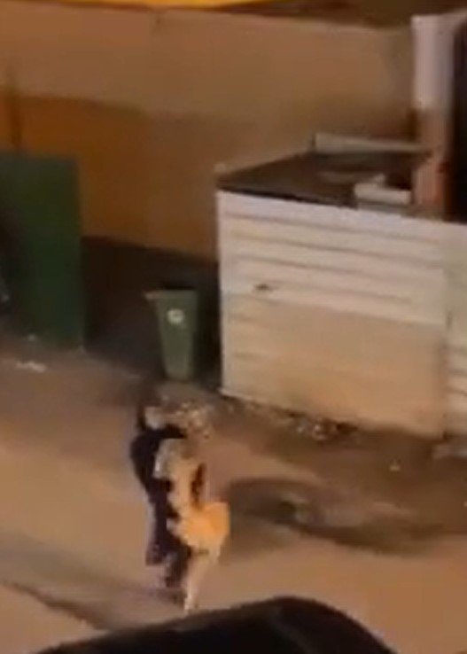 Kuveyt'te çekilen bir video sosyal medyada gündem yarattı.