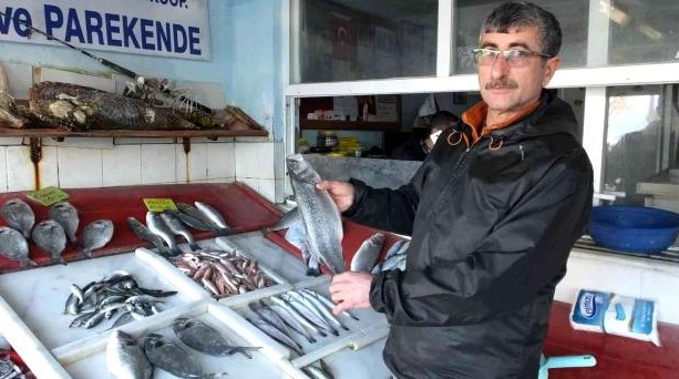 Burhaniye'de balıklar kooperatifle değerlendi