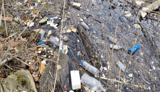 Gölde utanç verici manzara