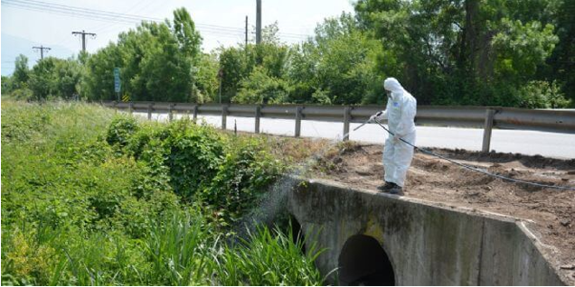 LARVA MÜCADELESİ BAŞLADI