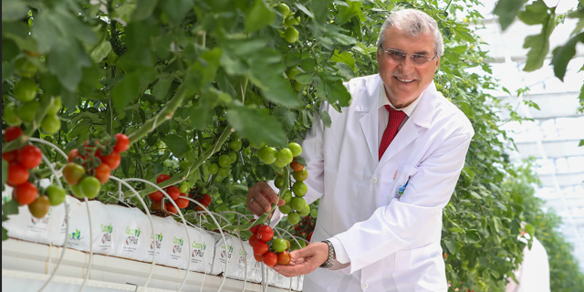 Seracılık Mükemmeliyet Merkezi’nde İlk Hasat Yakında Yapılacak