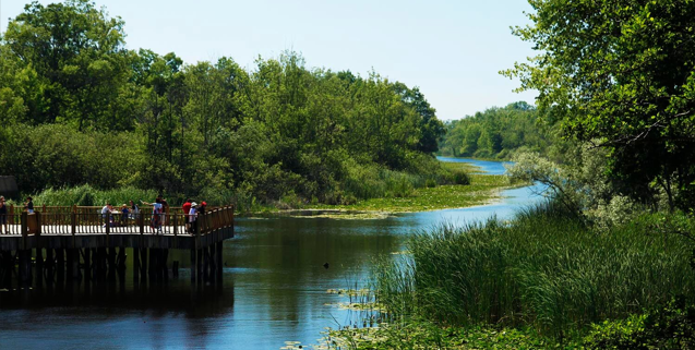 Acarlar Longozu Yenilenen Yüzüyle Kapılarını Açıyor
