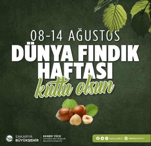 Sakarya’da Dünya Fındık Haftası için büyük  organizasyon